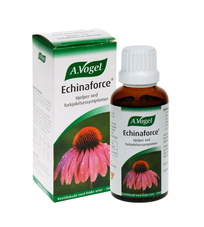 Echinaforce-50-ml